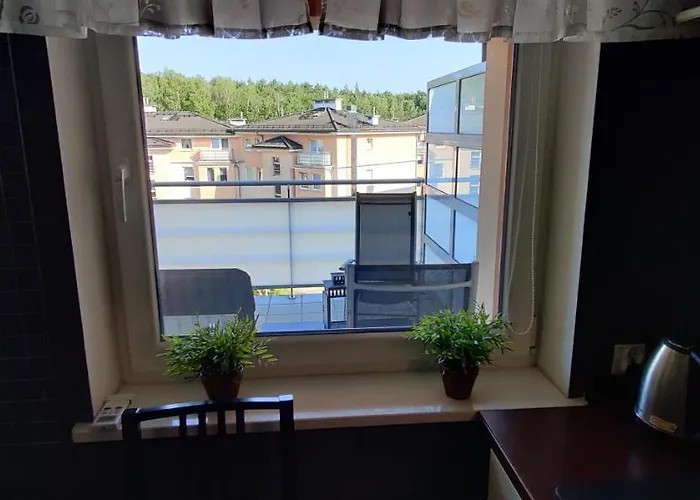 Lesna Z Tarasem Apartment *